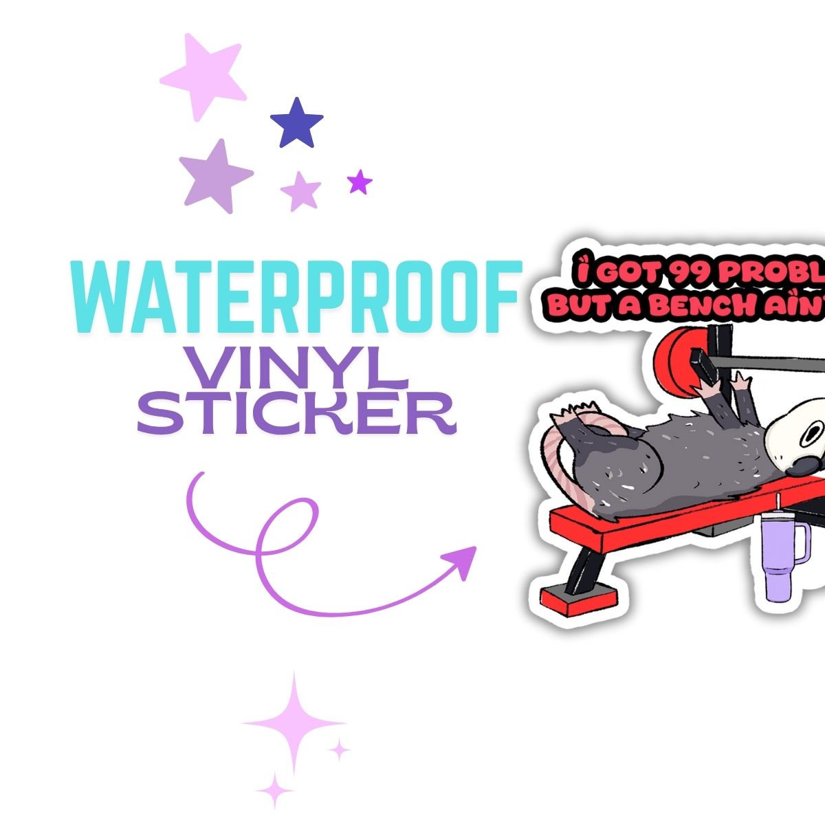 I Got 99 Problems but a Bench Ain't One Vinyl Sticker